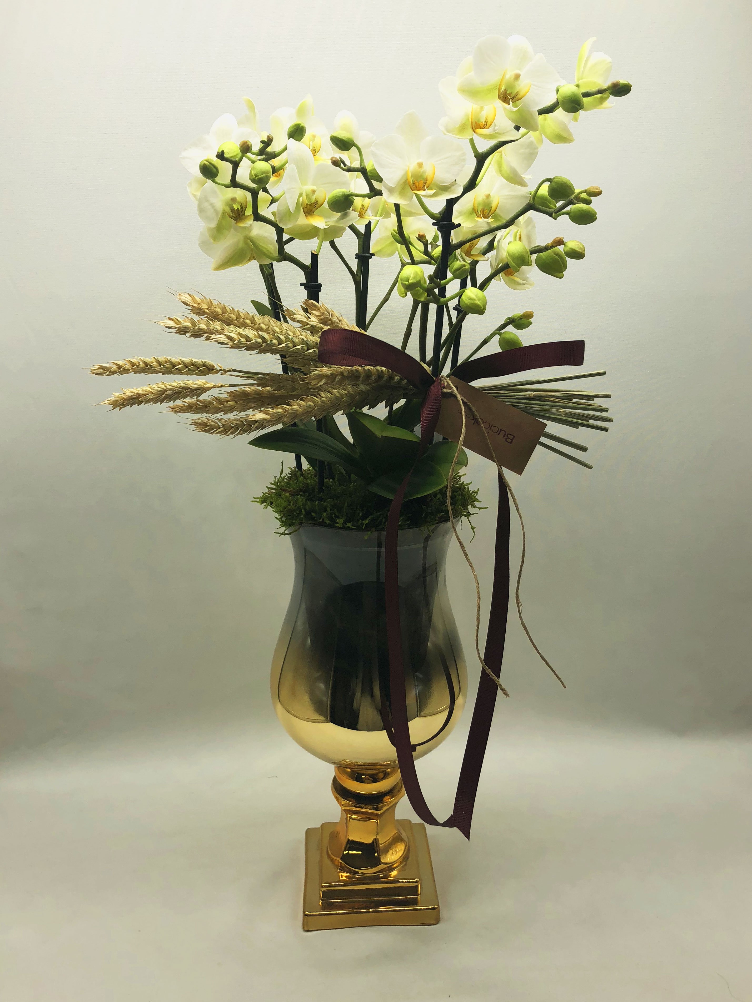 Boquetto orkide
