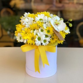 Sarı Krizantem Kutu Çiçek